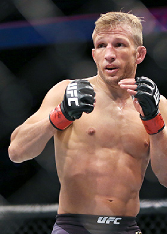 Garbrandt Battles Dillashaw as Underdog on UFC 227 Odds